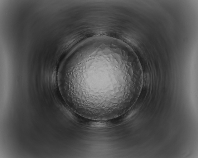 X0000086990238200704161511