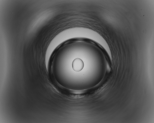 X0000086990239200704161511