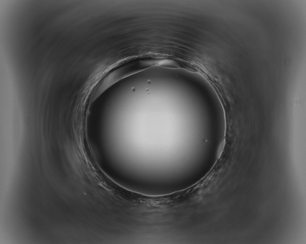 X0000086990241200704161511