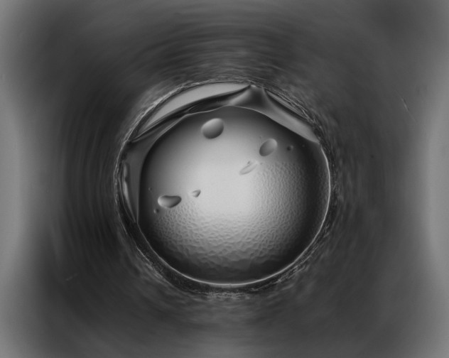 X0000086990242200704161511