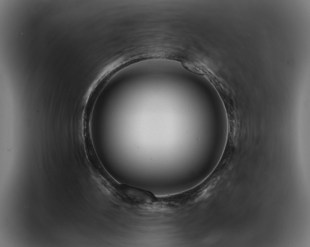 X0000086990244200704161511