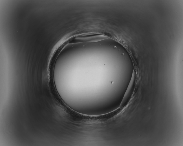 X0000086990246200704161511