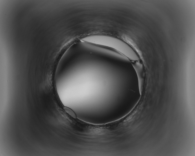 X0000086990249200704161511