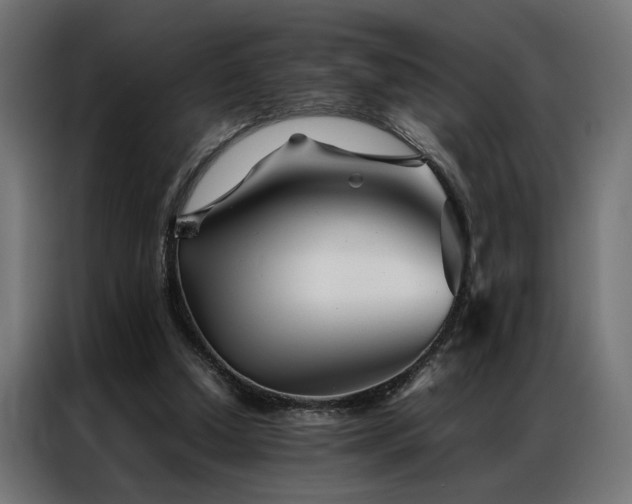 X0000086990250200704161511