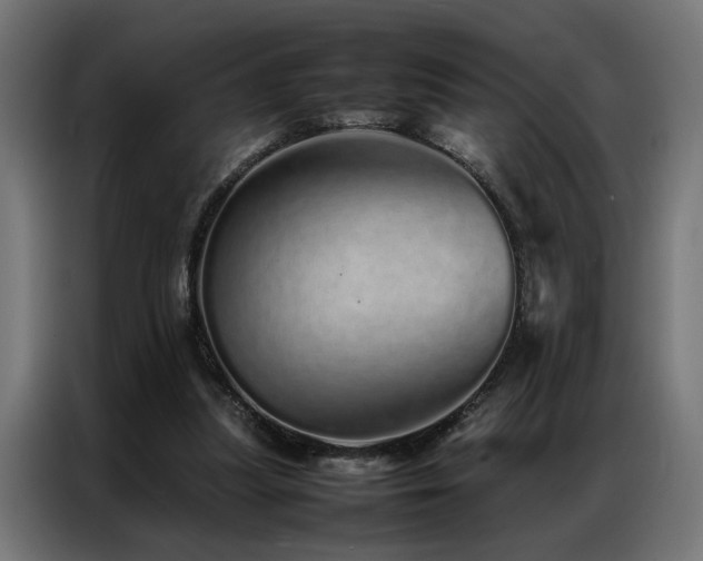 X0000086990251200704161511