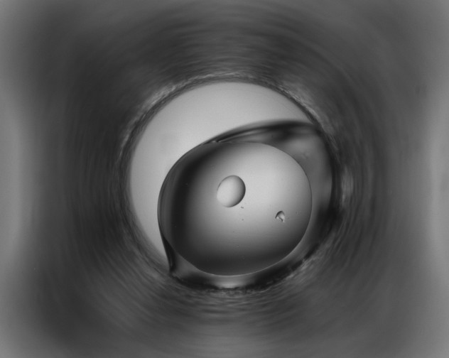 X0000086990252200704161511