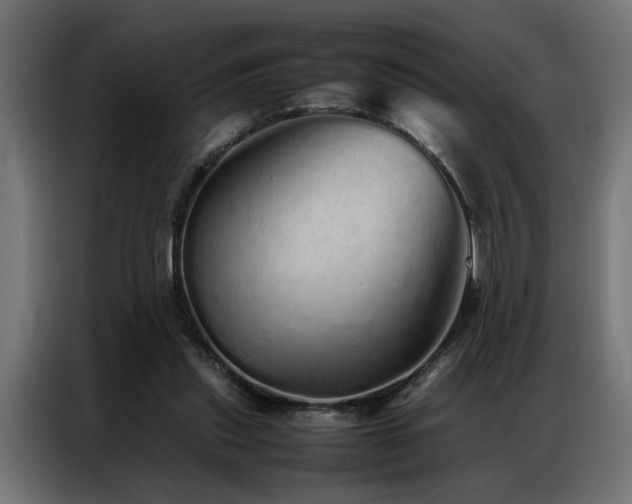 X0000086990253200704161511