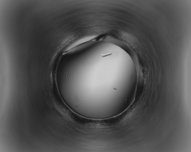 X0000086990254200704161511