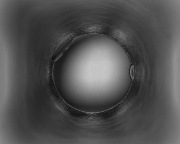 X0000086990255200704161511