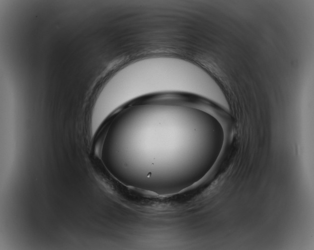 X0000086990256200704161511