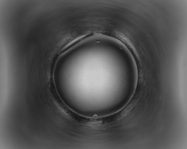 X0000086990257200704161511