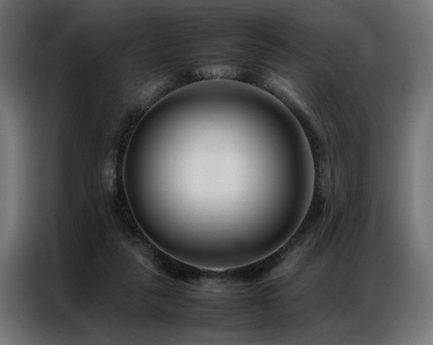 X0000086990259200704161511