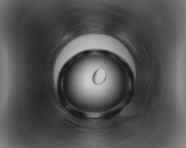 X0000086990260200704161511