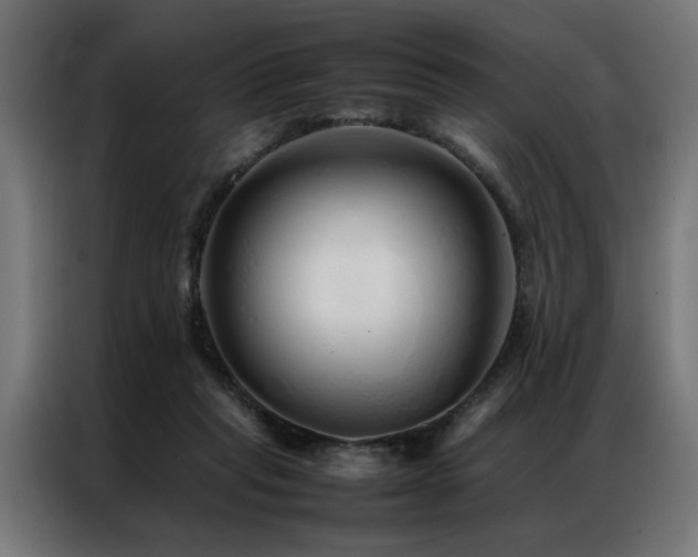 X0000086990261200704161511
