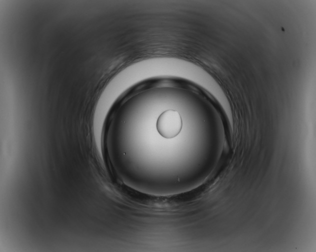 X0000086990264200704161511