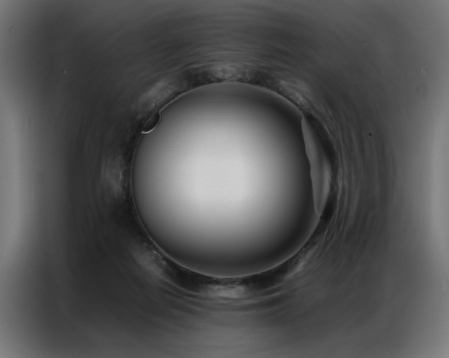 X0000086990266200704161511