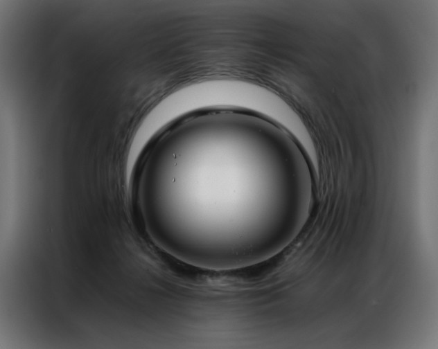 X0000086990268200704161511