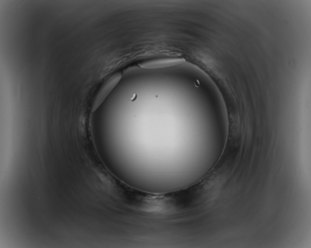 X0000086990269200704161511