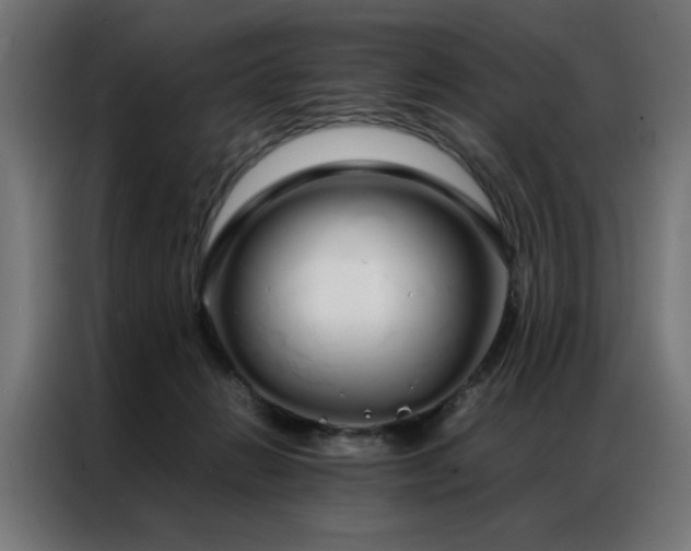 X0000086990270200704161511