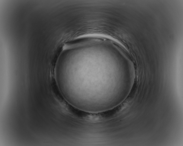 X0000086990272200704161511