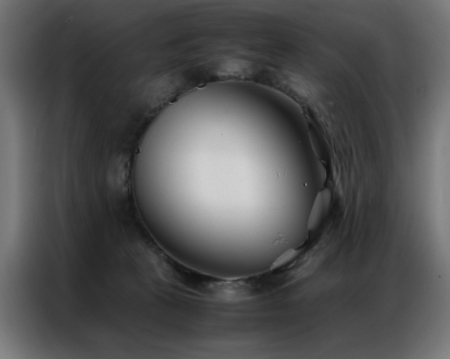 X0000086990273200704161511