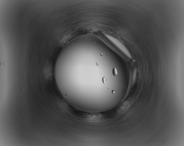 X0000086990274200704161511