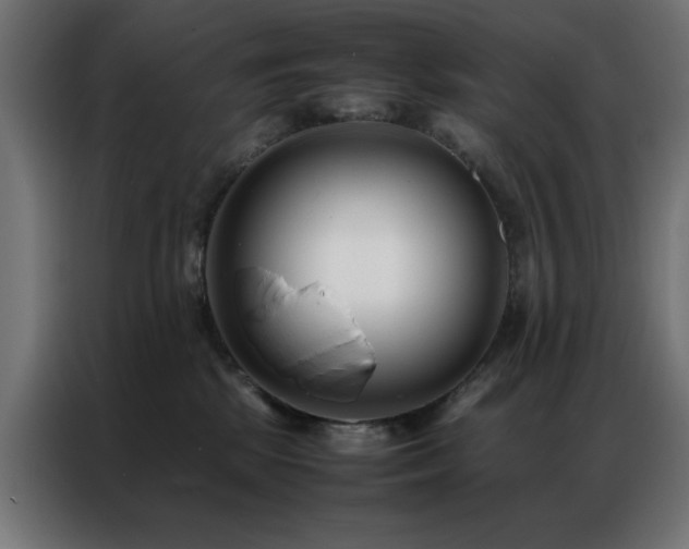 X0000086990281200704161511