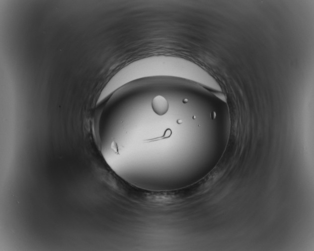 X0000086990282200704161511