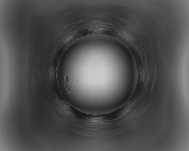 X0000086990283200704161511