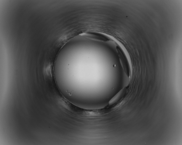 X0000086990286200704161511