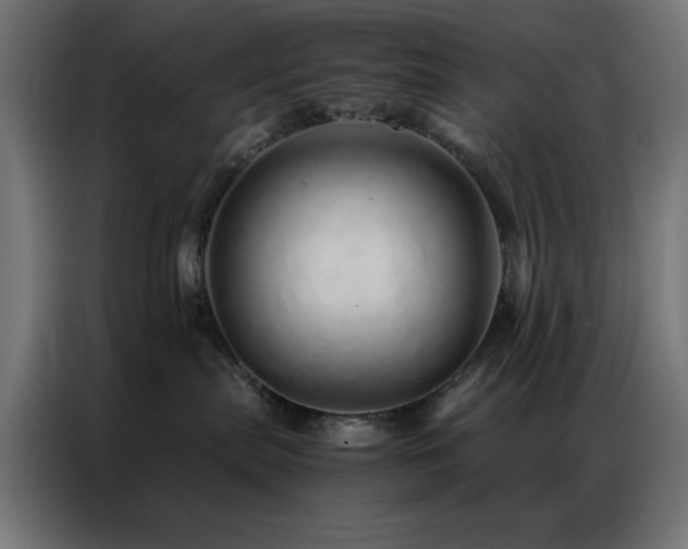X0000086990287200704161511