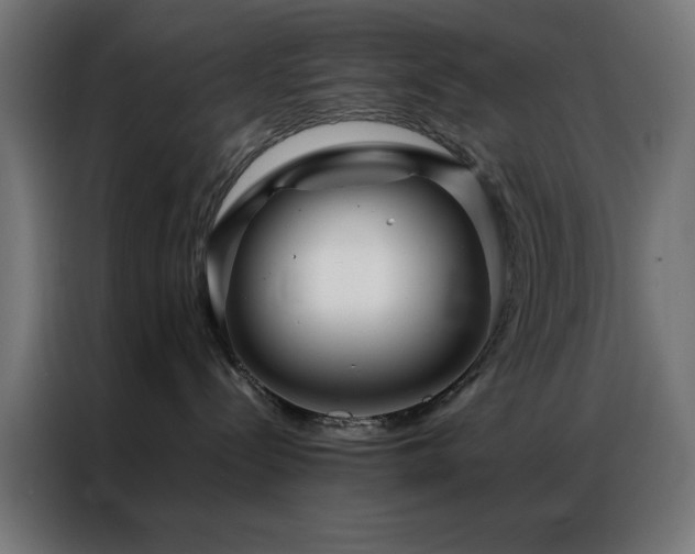 X0000086990288200704161511