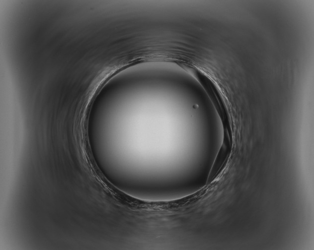 X0000086990289200704161511