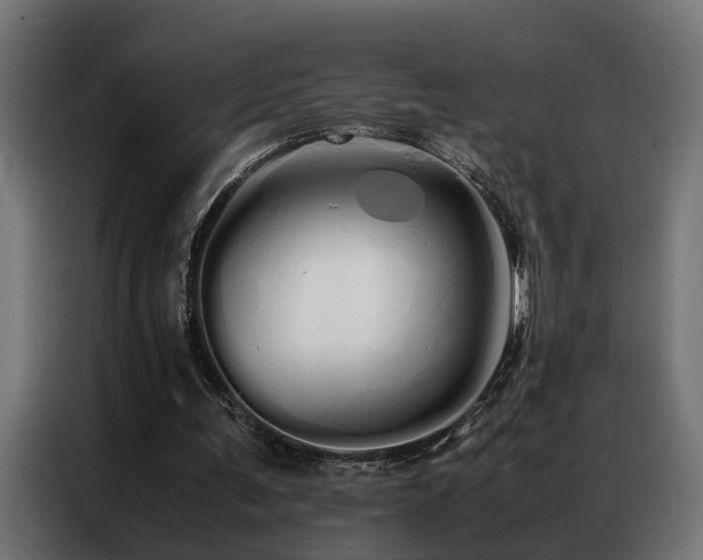 X0000086990291200704161511