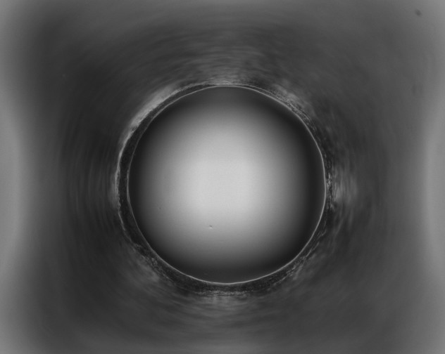 X0000086990292200704161511