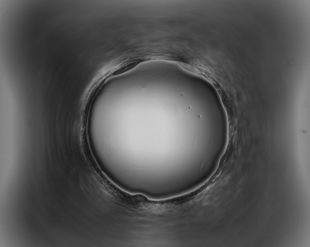 X0000086990293200704161511