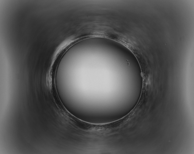 X0000086990294200704161511