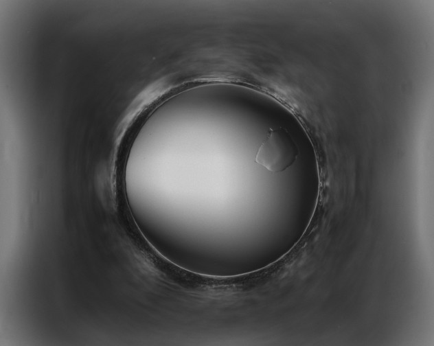 X0000086990296200704161511