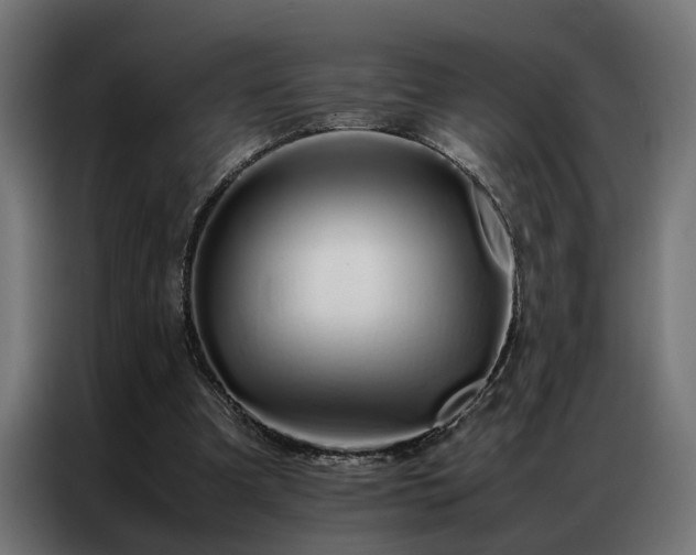 X0000086990297200704161511