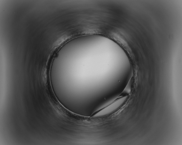 X0000086990298200704161511