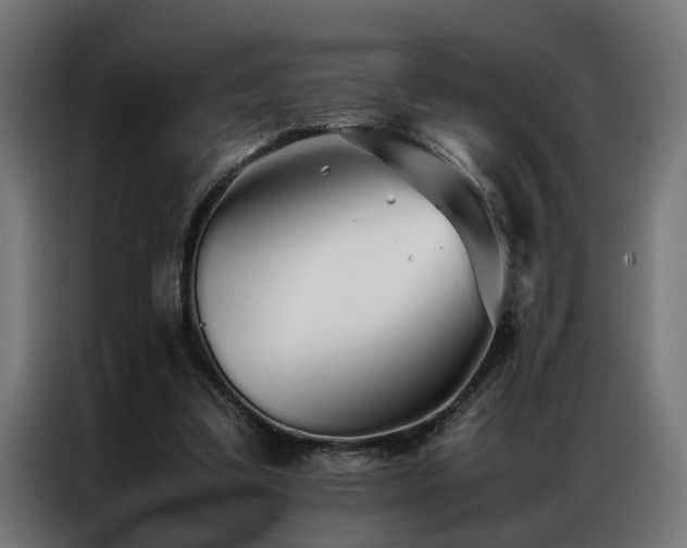 X0000086990299200704161511