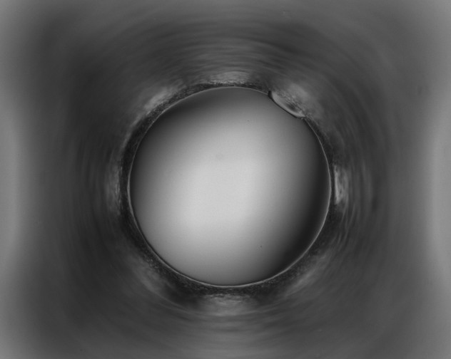 X0000086990300200704161511