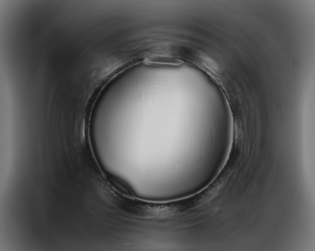 X0000086990301200704161511