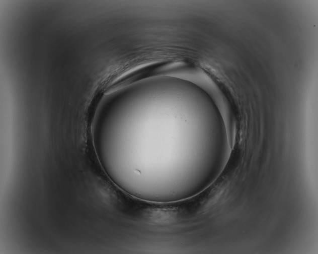 X0000086990303200704161511