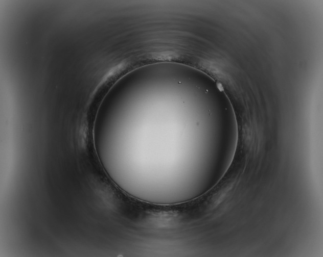 X0000086990304200704161511