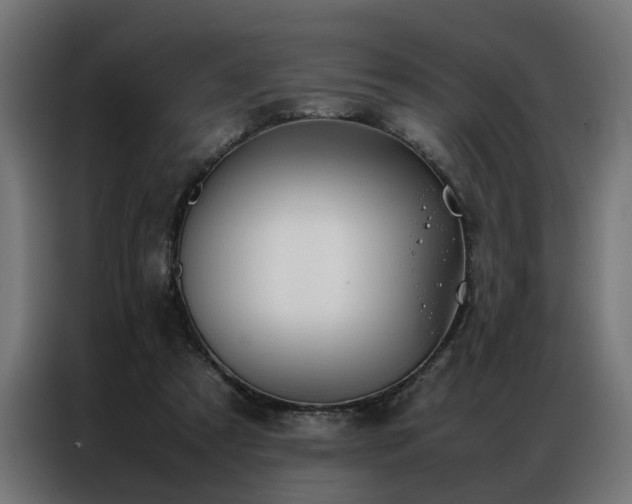 X0000086990305200704161511