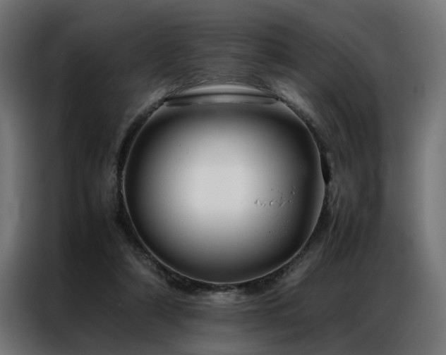 X0000086990306200704161511