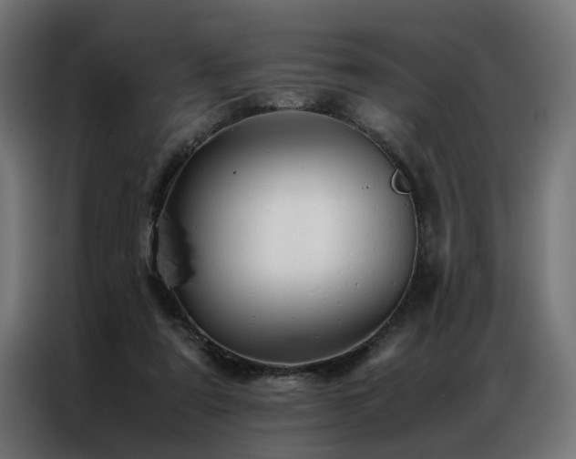 X0000086990307200704161511