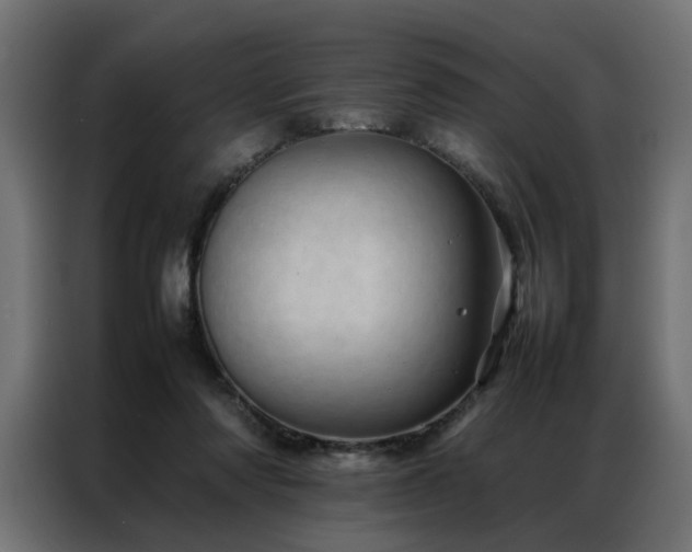 X0000086990310200704161511
