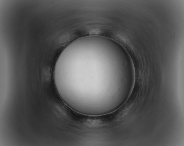 X0000086990311200704161510